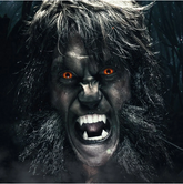 Cosplay WOLF EYES Rote farbige Kontaktlinsen